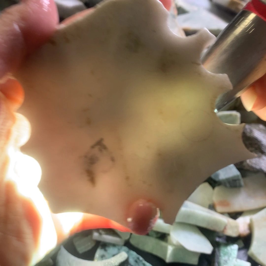 翡翠颈饰未镶嵌缅甸翡翠