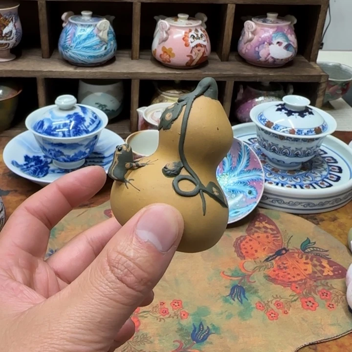 葫芦茶宠黄色葫芦茶宠