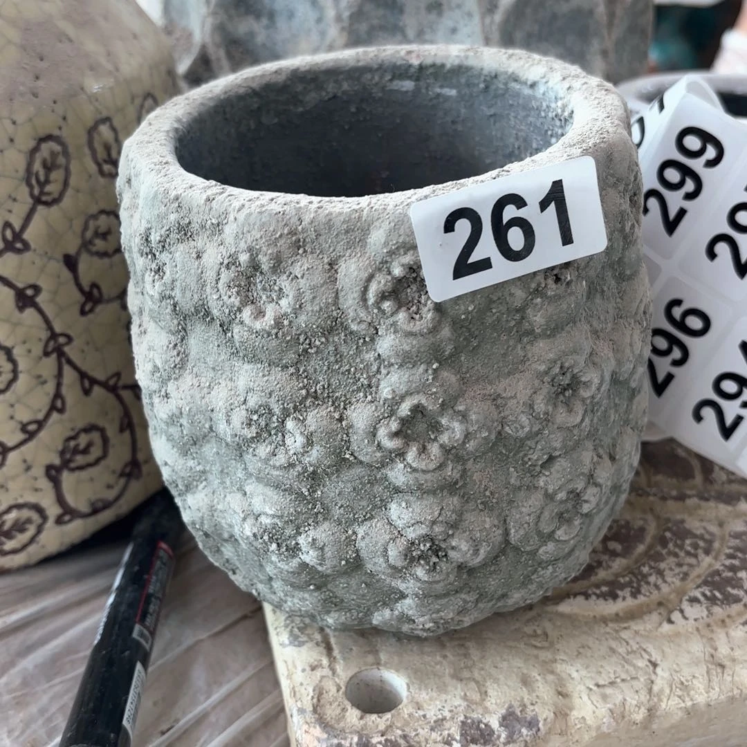 许纯的花房孤品261