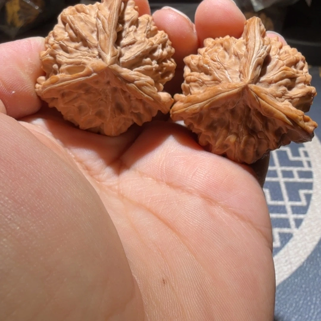 文玩核桃把件公子帽盘山奔