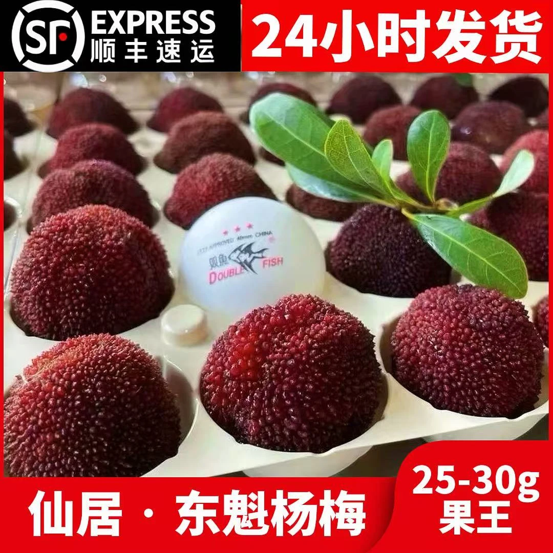 【精品果王 25-30g】仙居东魁杨梅颗粒礼盒装顺丰冷链空运坏果包赔杨梅同城送浙江省