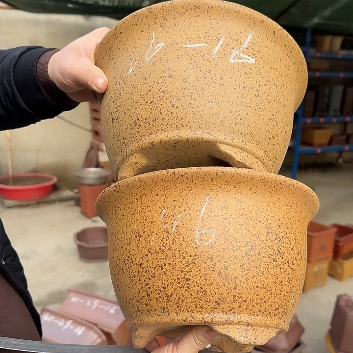 花盆紫砂这是我的