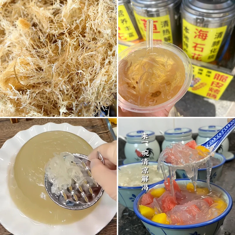 海石花草海石花菜原料源头原产地商用海干货四果汤清热海凉粉