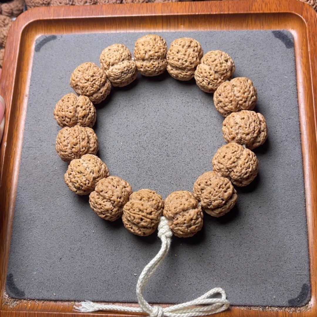 菩提籽类16号金刚菩提爆肉霸王花23