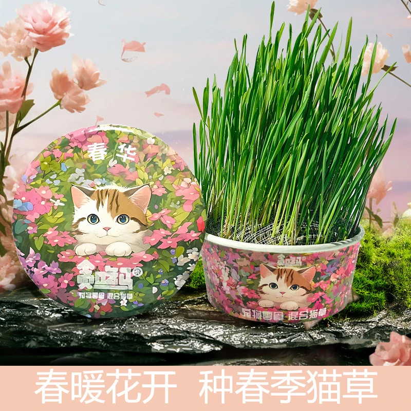 【春季猫草无土猫草】贪吃马春季猫草无土猫草猫草混合猫草化毛罐头