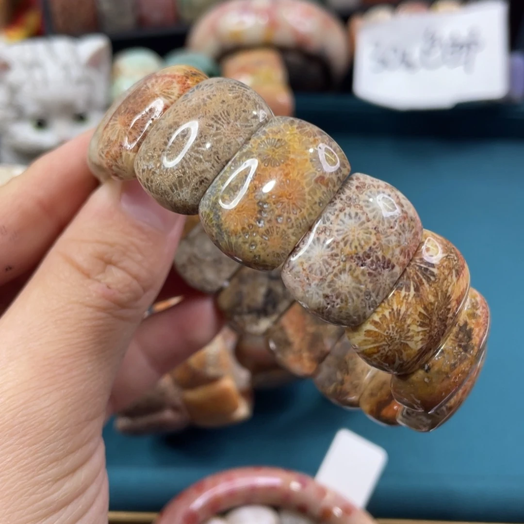 未镶嵌手镯硅化玉