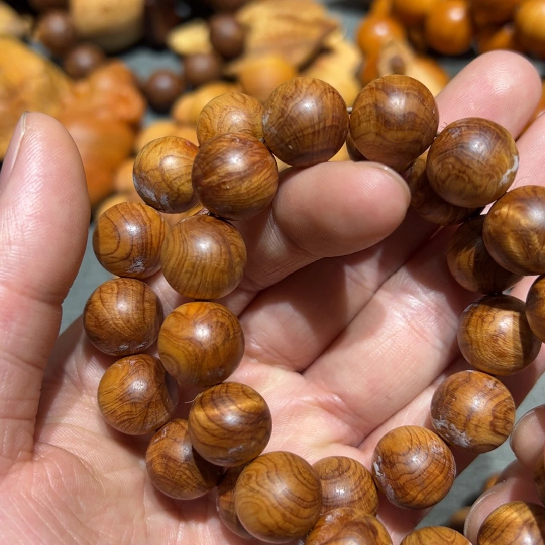 太行崖柏陈化太行