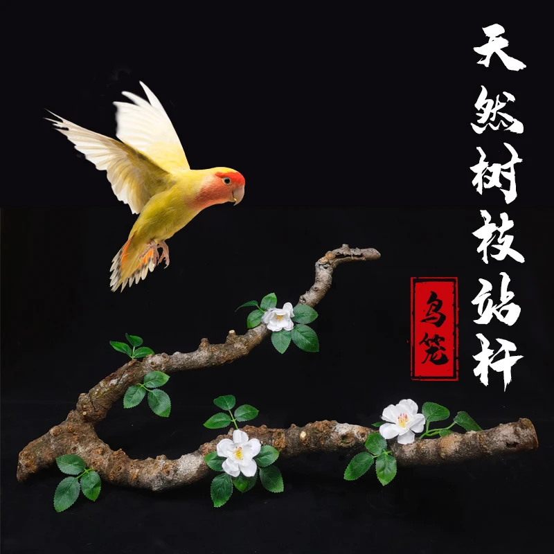 天然树枝造型鸟站杆天然实木鸟站架鹦鹉鸟类用品磨爪栖息鹦鹉鸟笼