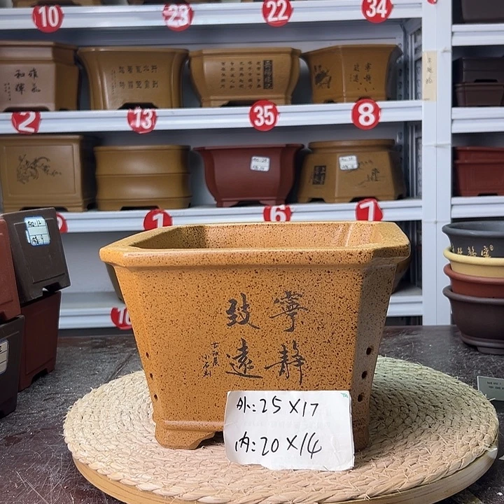 花盆紫砂蛇年大吉