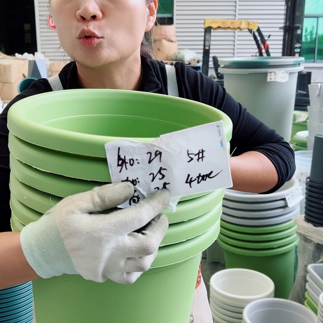 四季盆6#果绿色6个无托