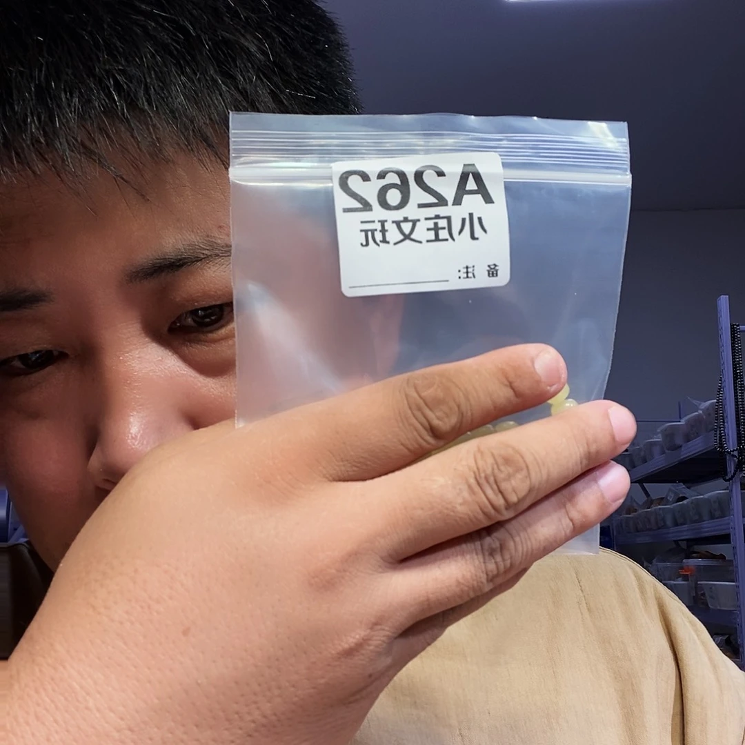 【闪购商品】黑檀木262