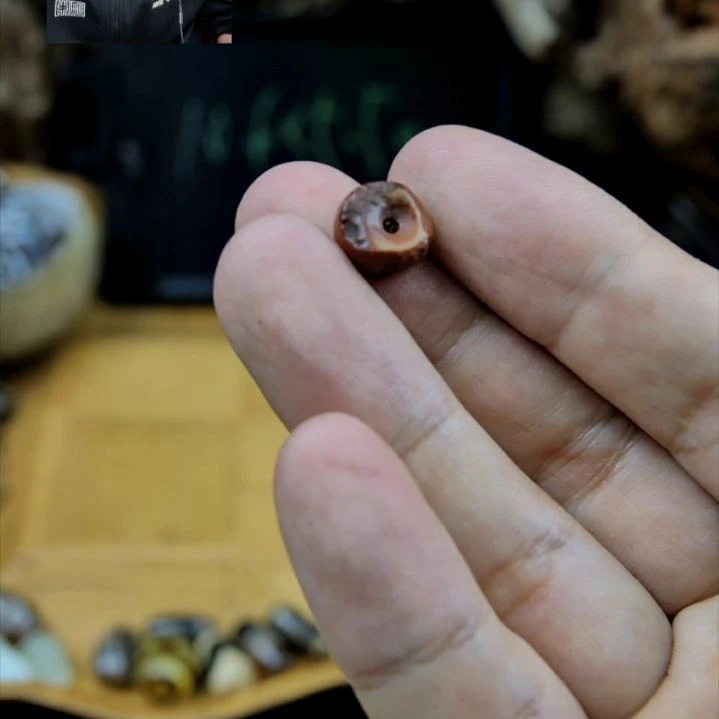 玛瑙/玉髓颈饰未镶嵌d18n29i1y7fn0