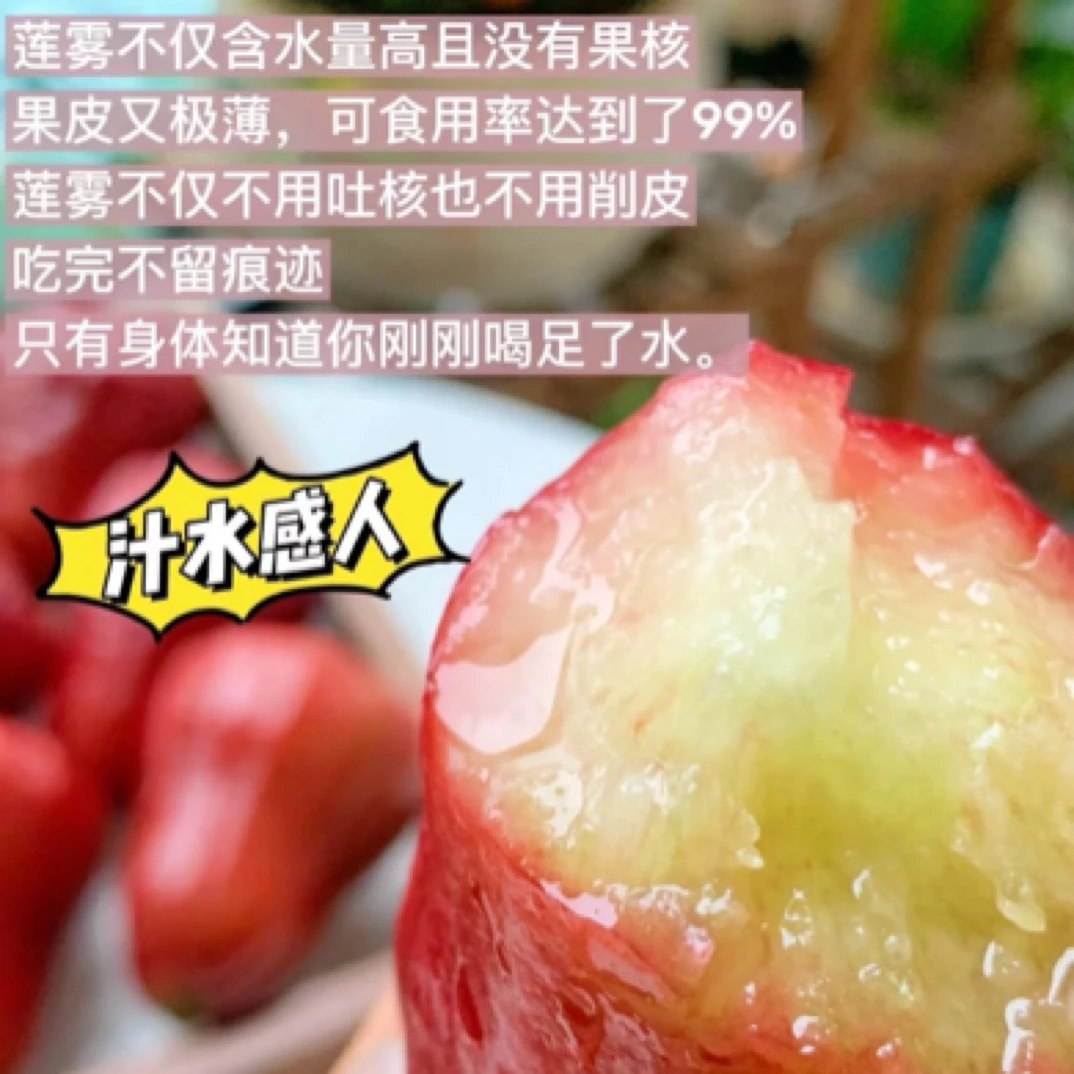 【1只莲雾7杯水】黑金刚莲雾（低糖清爽）1.5公斤