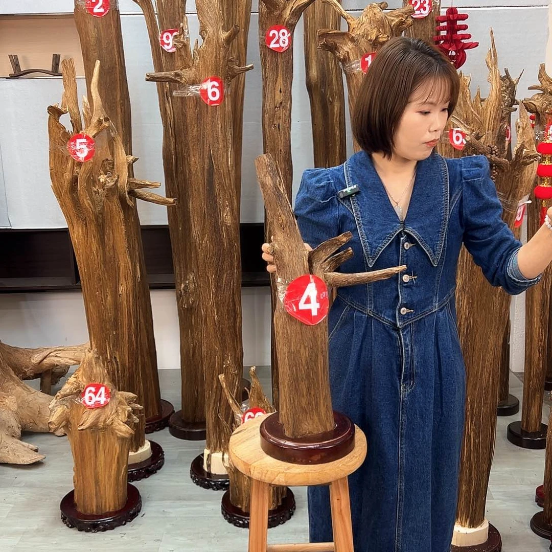 沉香摆件西****忆沉香摆件
