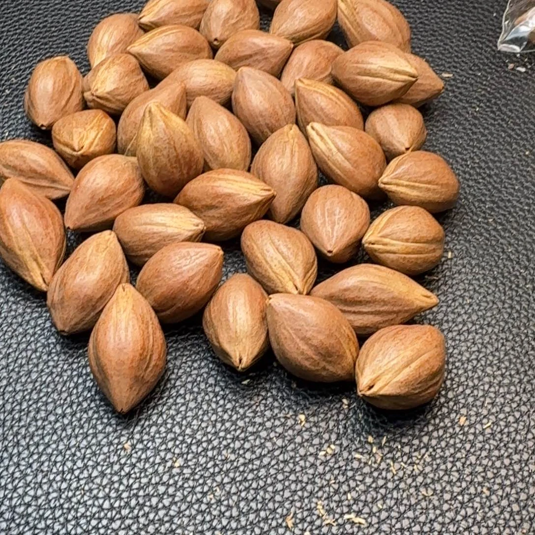 冰***冷橄榄核手串/手链1