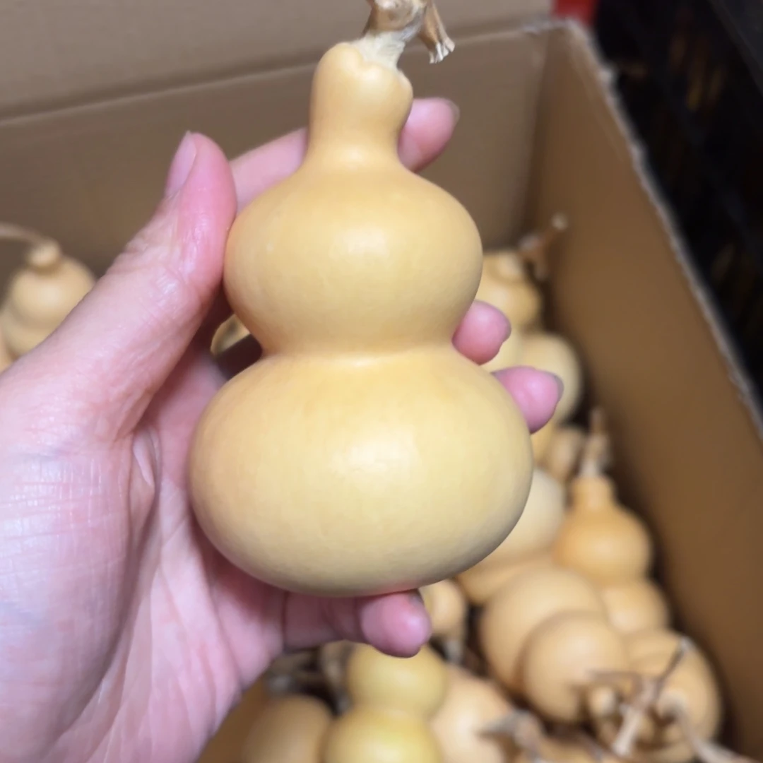 T***t葫芦葫芦葫芦器型器型