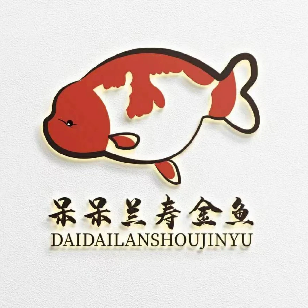 呆呆兰寿金鱼直播专用链接④