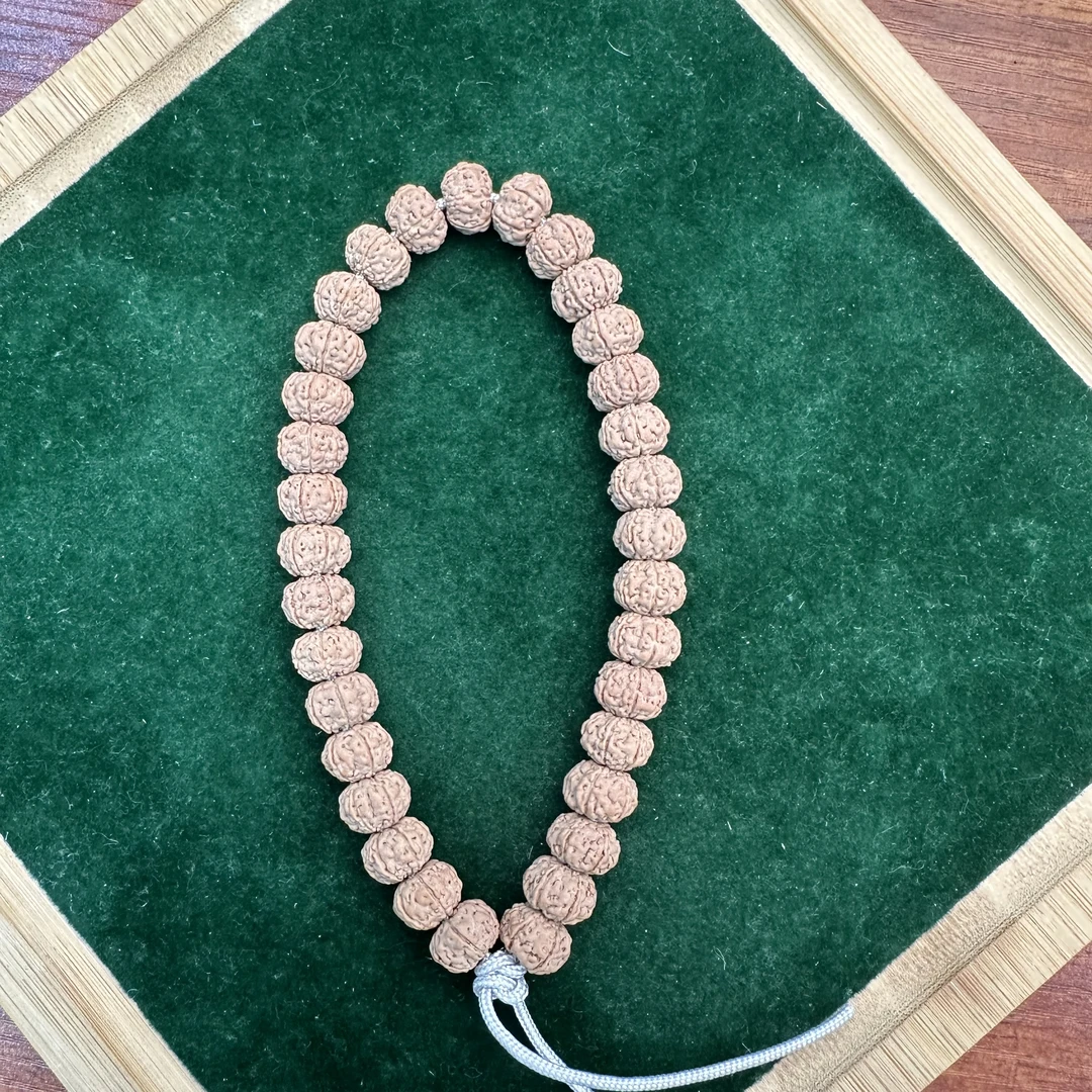 加不棉六瓣老树王 单圈 金刚菩提