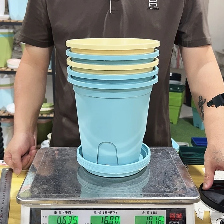 圆控口18高18混色带托5个