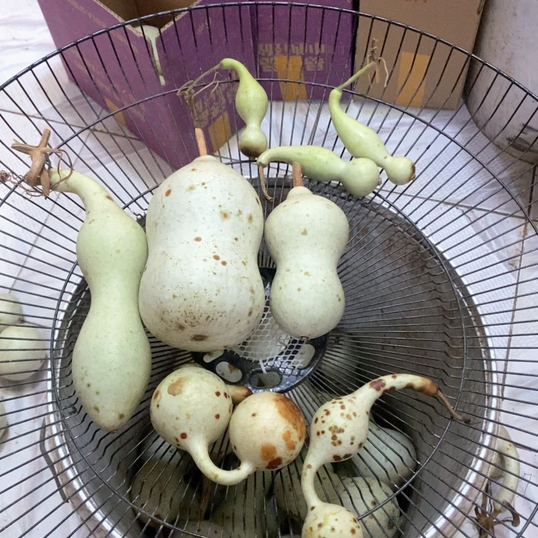 婷*婷文玩葫芦青皮葫芦