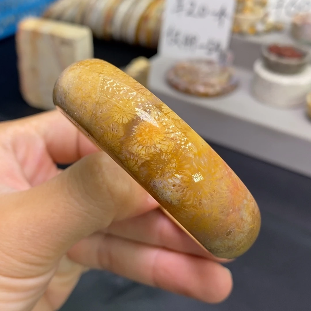 硅化玉未镶嵌手镯
