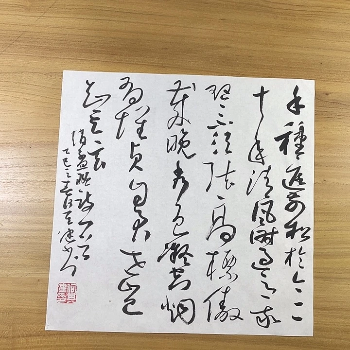 书法中书协会员作品
