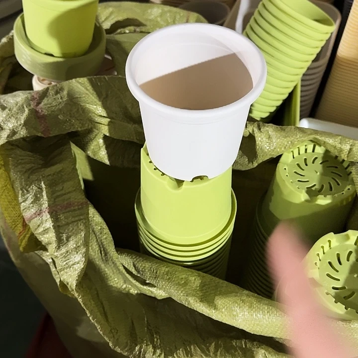 四季1号灰白无托20个