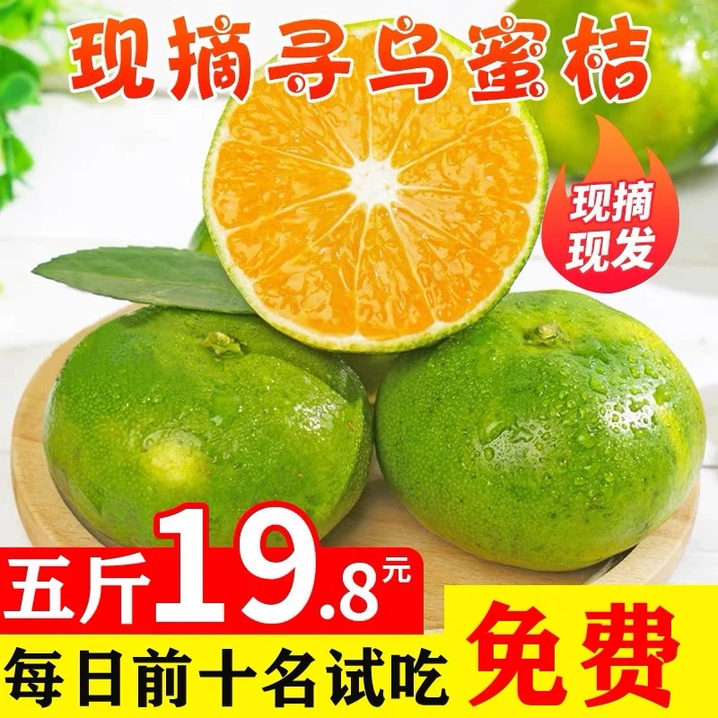 江西赣南寻乌蜜橘当季新鲜无籽柑橘孕妇水果桔子整箱大果坏果包赔