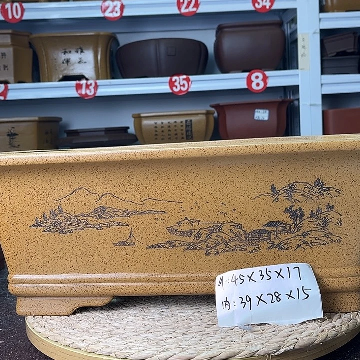 花盆紫砂你在一起