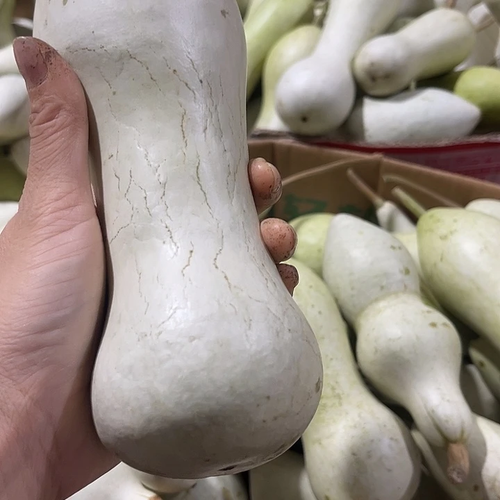 非洲紫檀（红花梨）阳**年