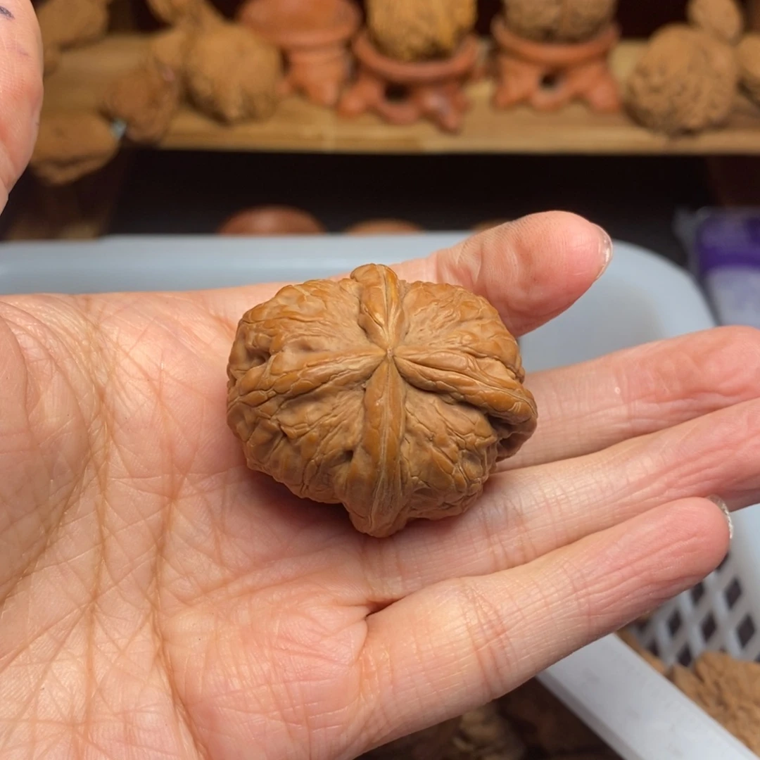 阿***瀚把件文玩核桃尺寸
