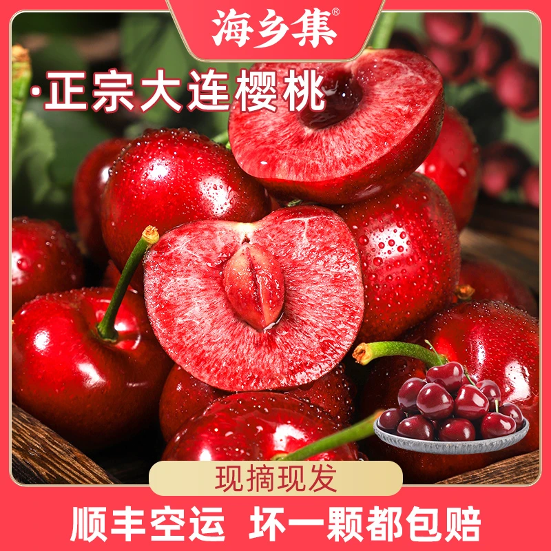 海乡集大连美早樱桃新鲜现摘现发1.8斤2J-5J顺丰包邮