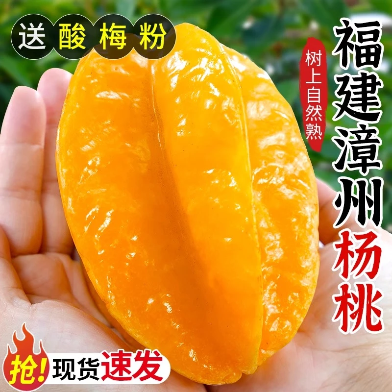 福建漳州甜杨桃新鲜水果应当季整箱洋桃红扬桃五角星阳桃包邮