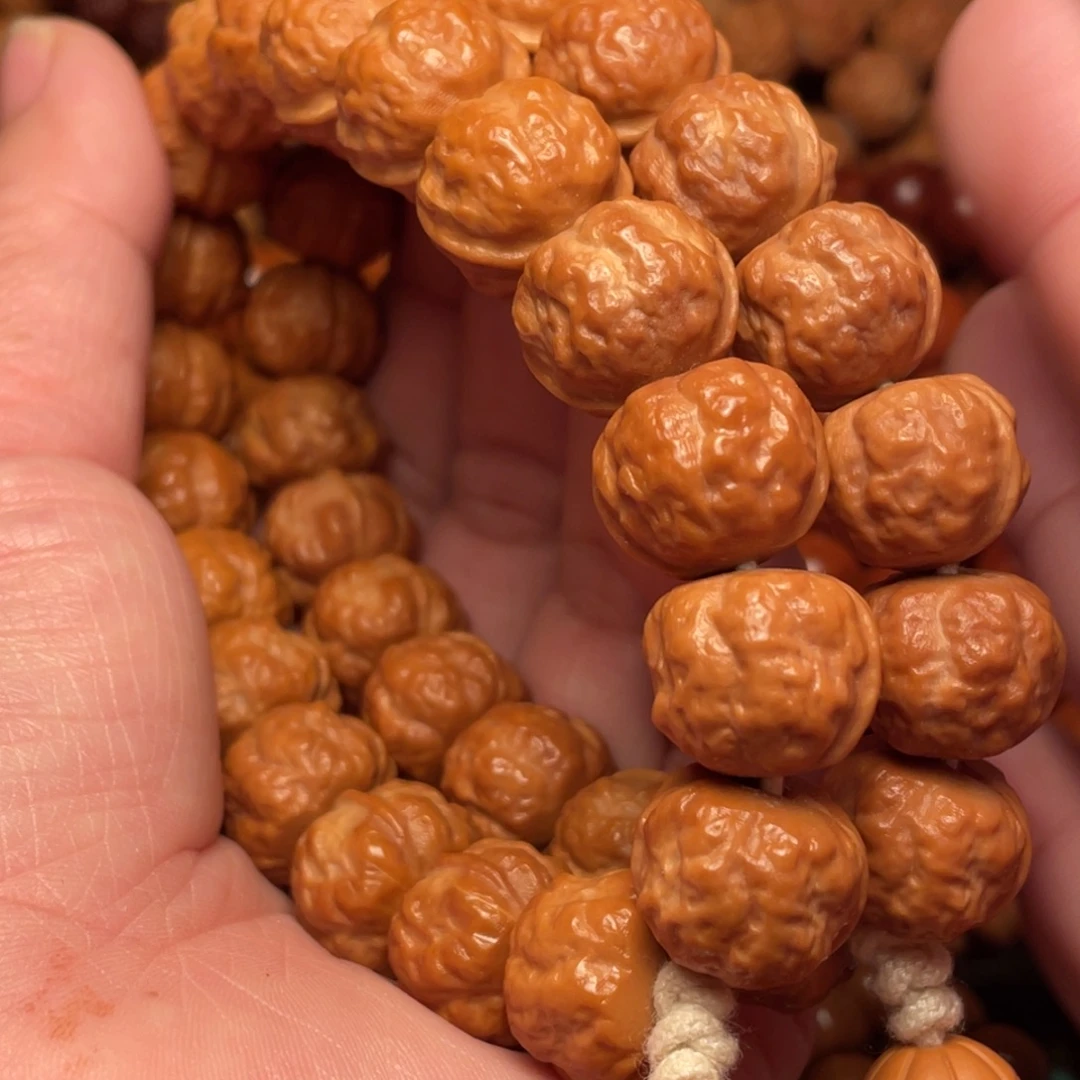 德***司崖柏猴头核桃树122