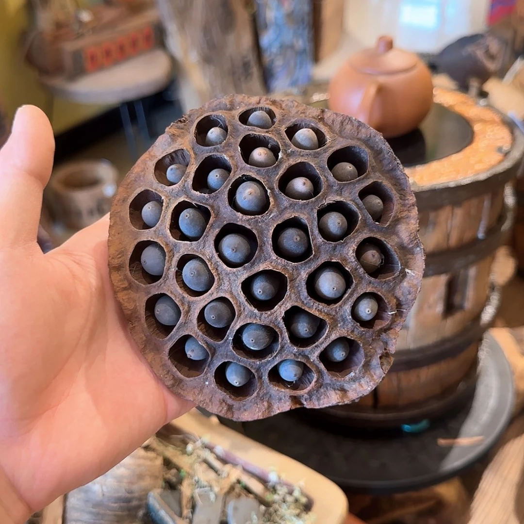 干的莲蓬一个的包邮