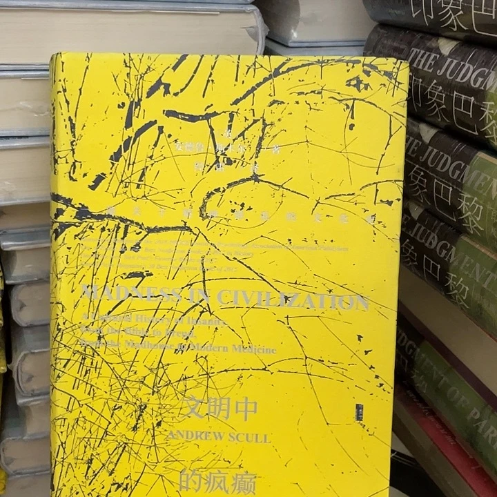 文明中的疯癫：微瑕