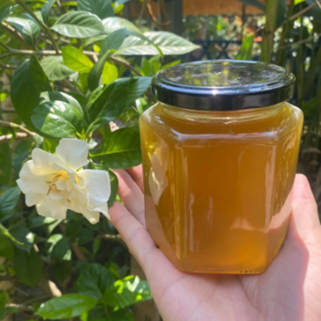 2025年西双版纳热带原始雨林天然蜂蜜高品质大挂蜜树挂蜜百花蜜