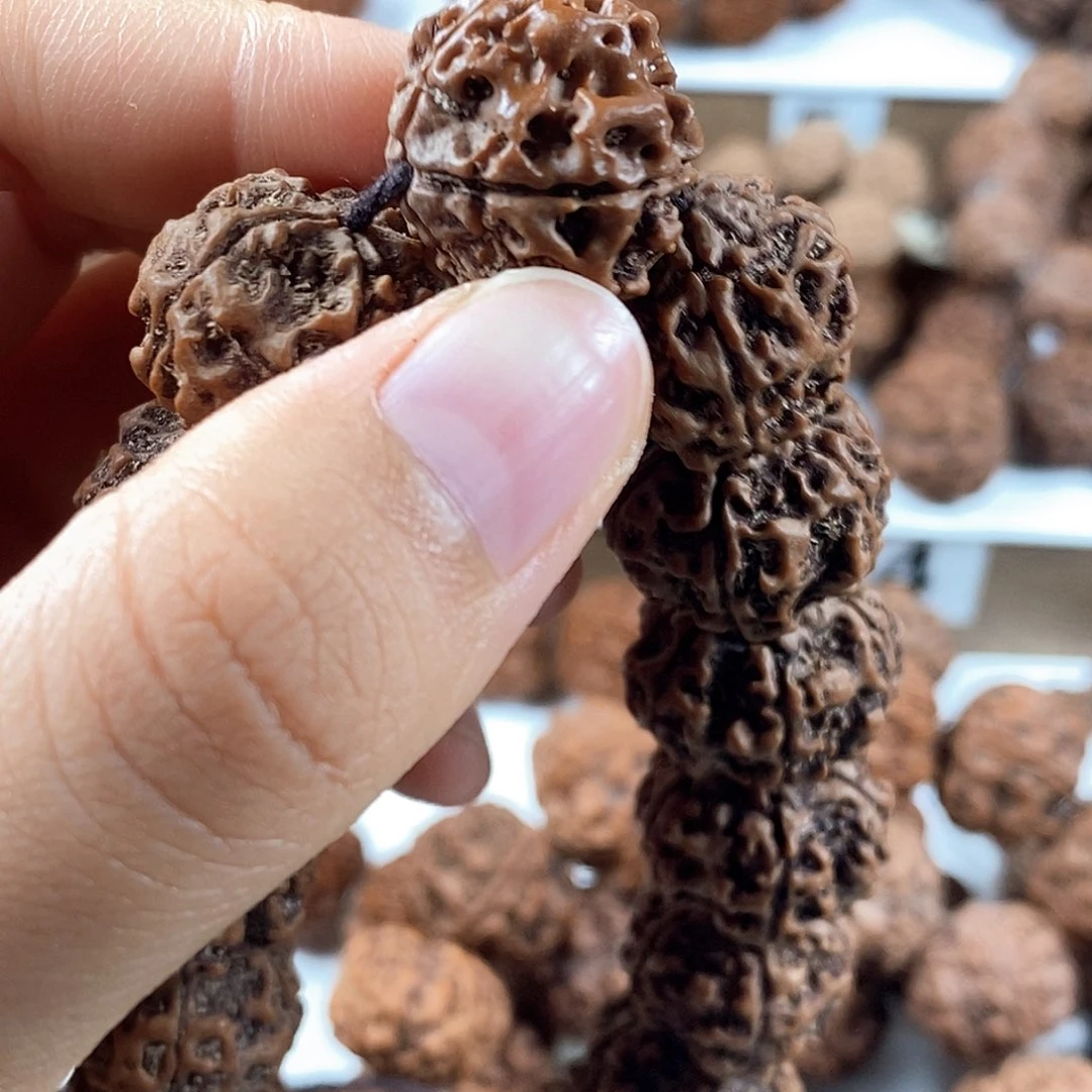 张***爷金刚菩提手串稀有梅花