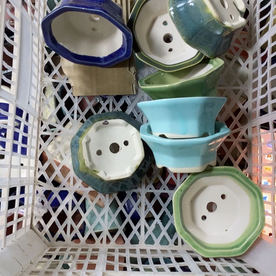 红陶冒***?这两人是谁都不能