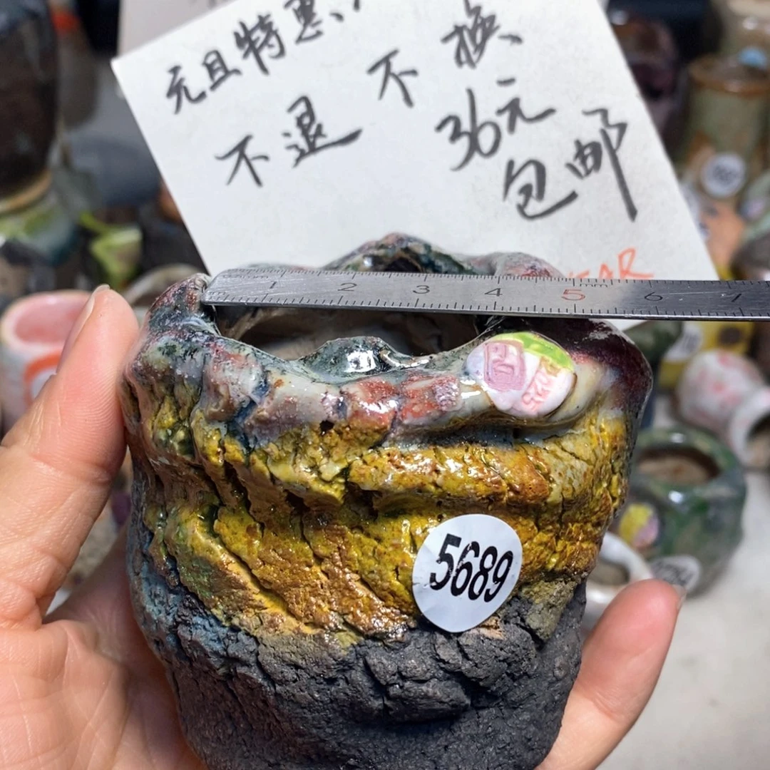 元旦特惠盆不退不换，原价88元一个