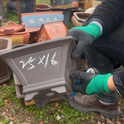 紫砂花盆紫砂花盆盆景盆栽