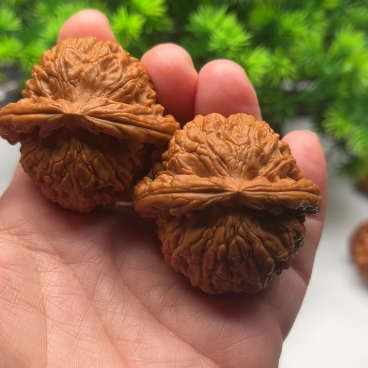 核桃文玩核桃白狮子44