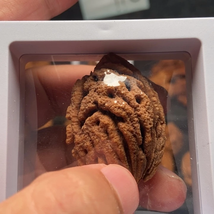 光*桃核手工一个单颗