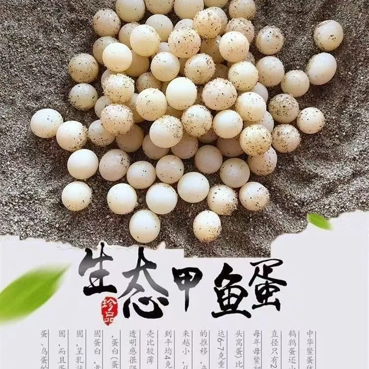 新鲜甲鱼蛋100个＋20个即食农家生态甲鱼蛋营养丰富适合宝宝辅食