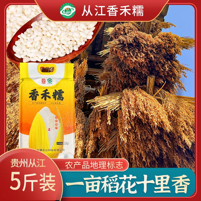 【贵州小芳专属】贵州特产从江高山梯田传统种植古稻香禾糯米5斤装
