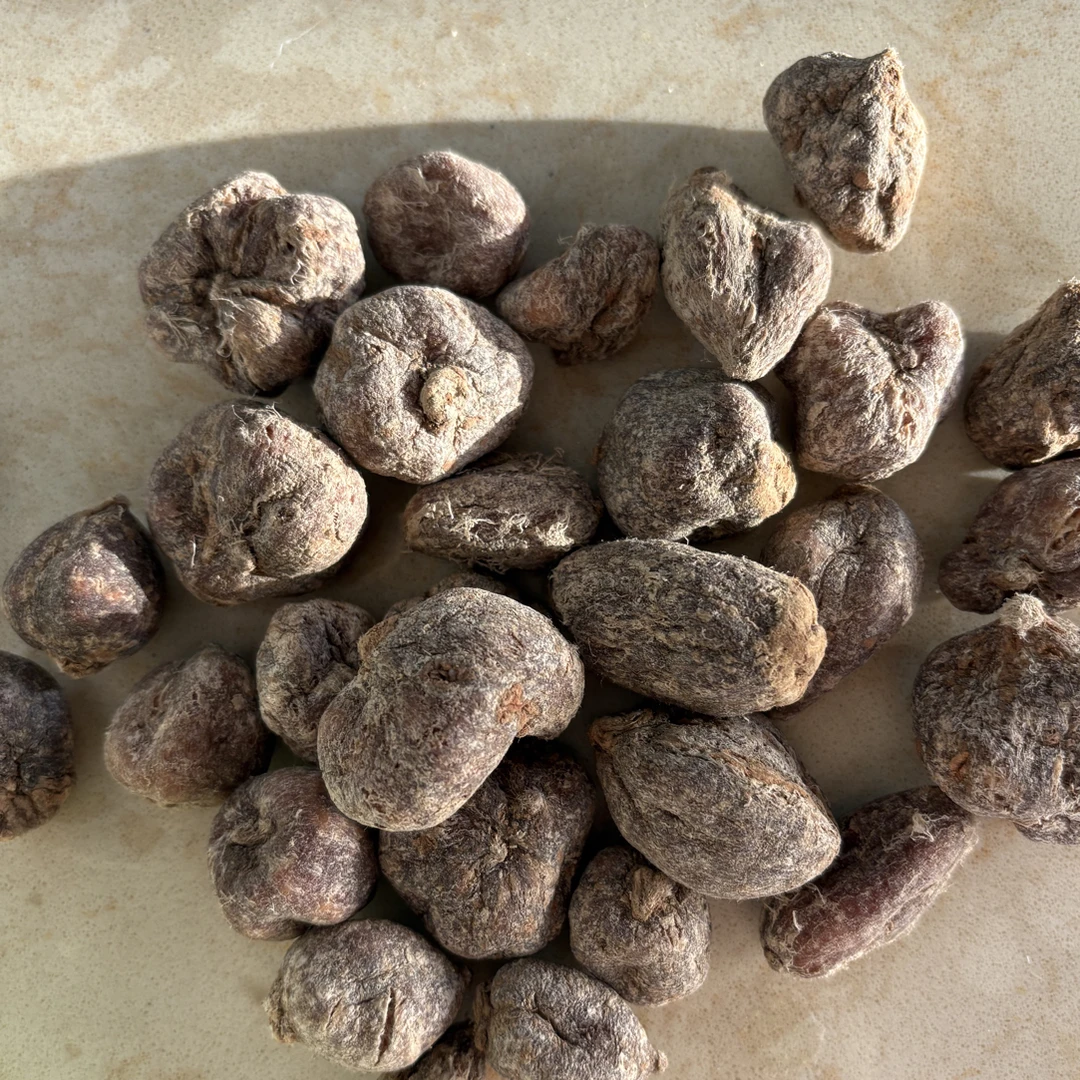 山地九转还阳参可煲汤可泡水的优质山货