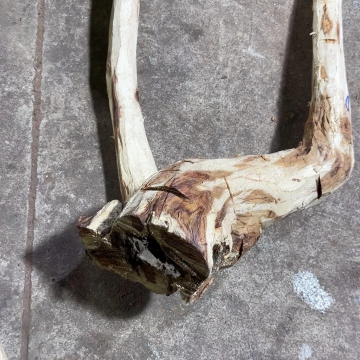 把件黄花梨/降香黄檀