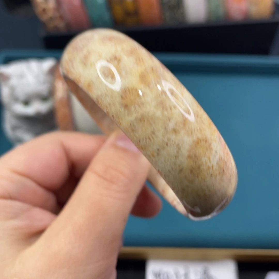 未镶嵌手镯硅化玉