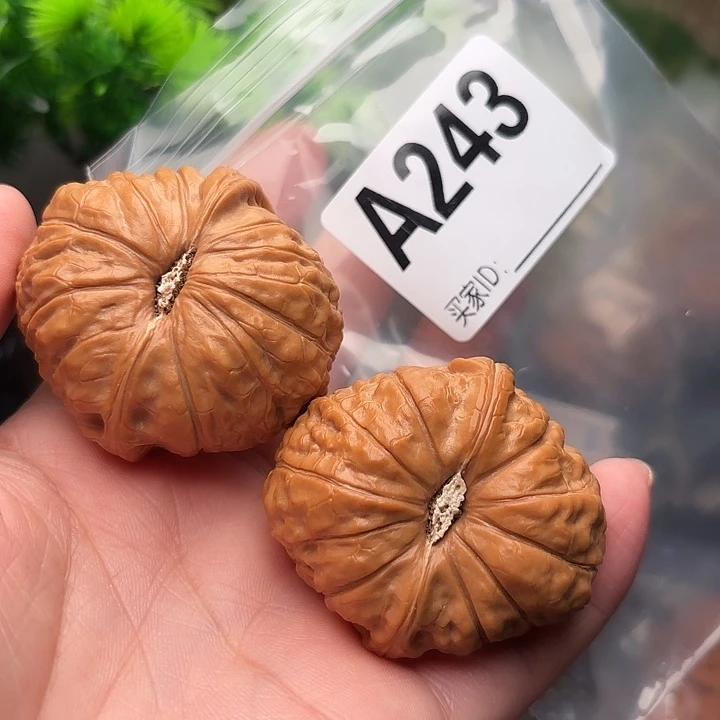 保***燥桃核把件核桃南关敦43