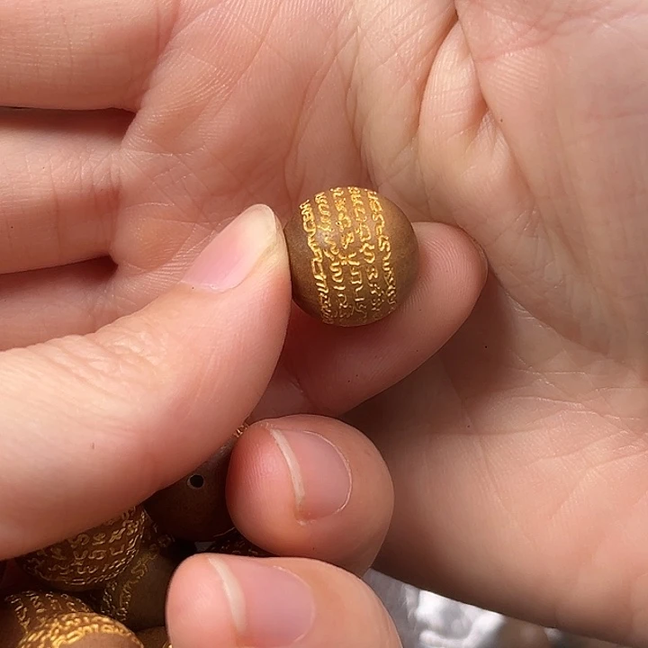 檀香木其他五条金